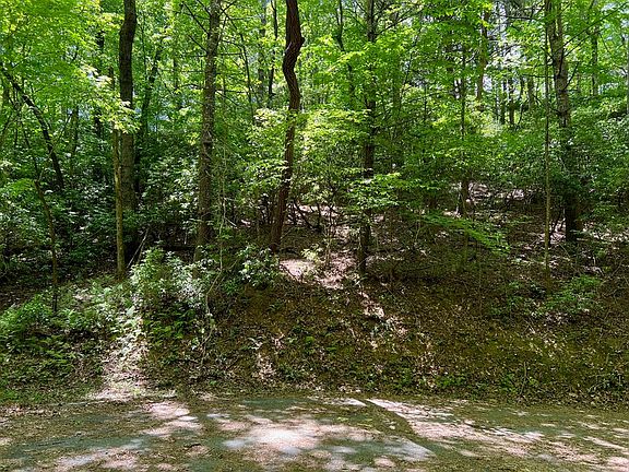 5th image of LOT 436 Okemah Ct