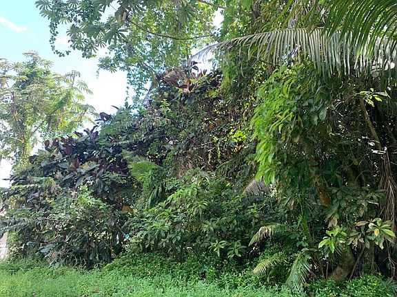 4th image of 15-2759 Opihi St Lot 1708