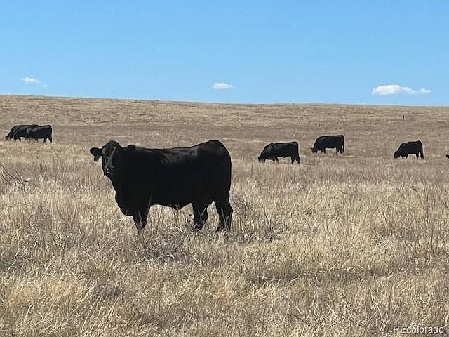 1st image of TBD County Road 194
