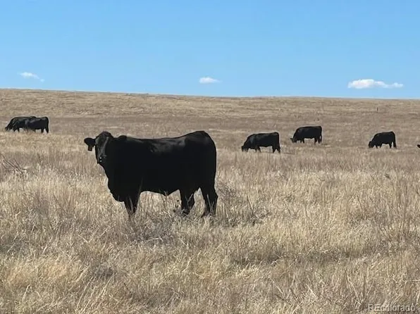 TBD County Road 194, Elbert, CO 80107