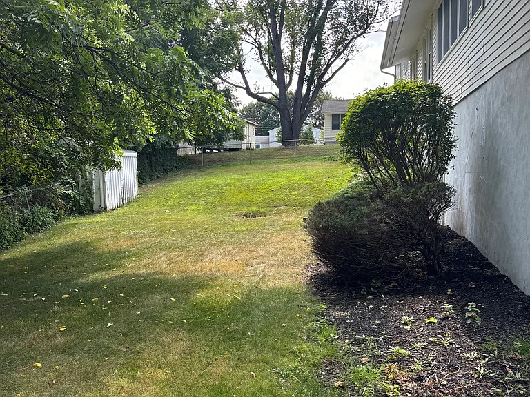 Fenced backyard