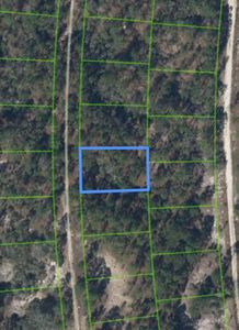 211 Sunflower Drive, Lake Placid, FL, 33852