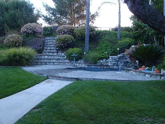 Afternoon shot of the back yard