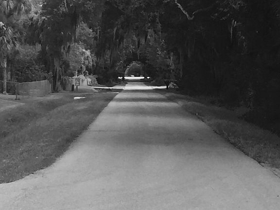5th image of 15671 Idalia Dr