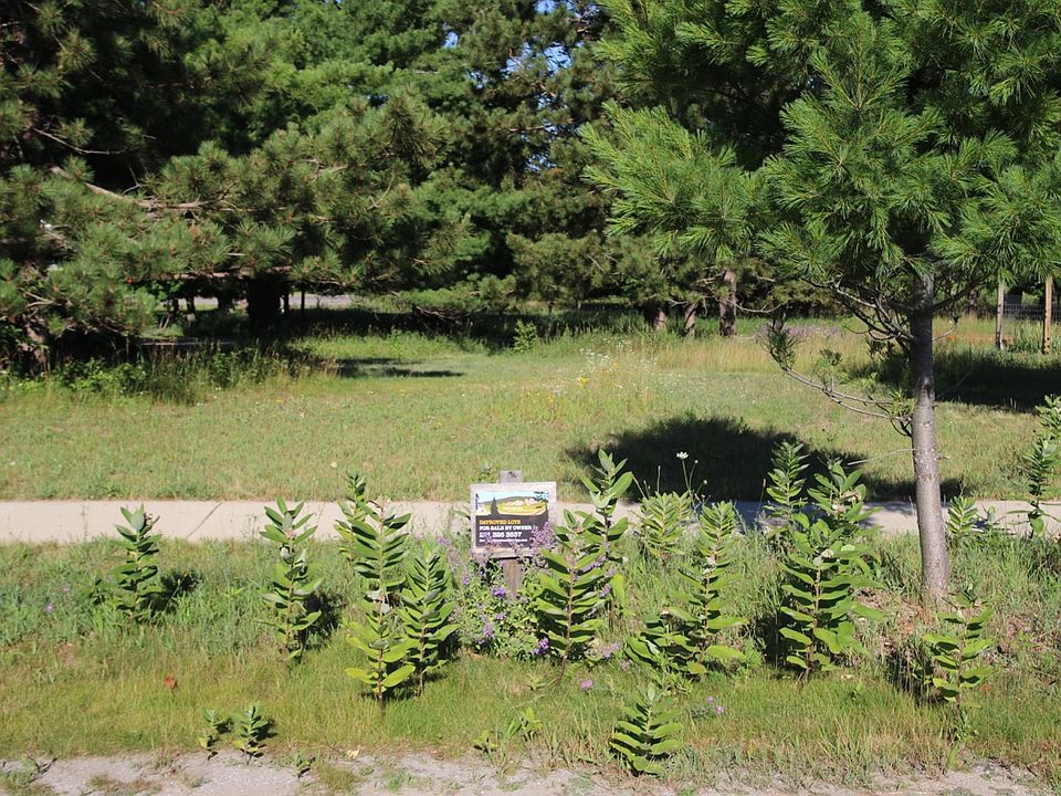 Lot 53 from Ontario Street