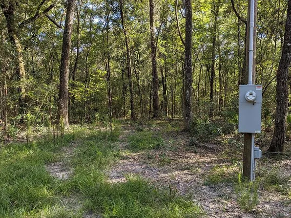  NW 82nd Ter, Bell, FL 32619