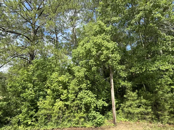 1133 Macedonia Rd, Petal, MS 39465