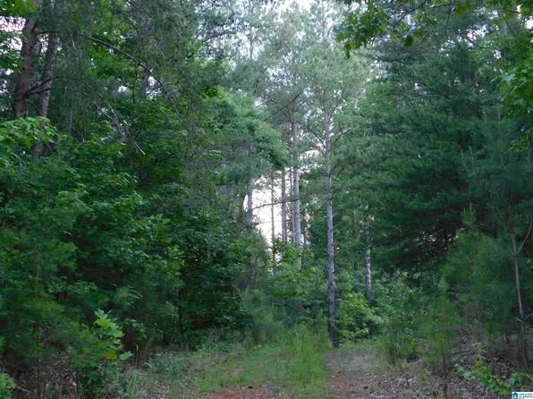 337 Lees Bridge Rd #17-01-005, Delta, AL 36258