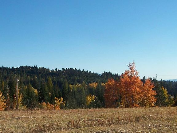 East views, Nation Forests