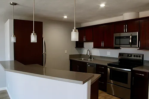 3050 Rue Dorleans Photo 1