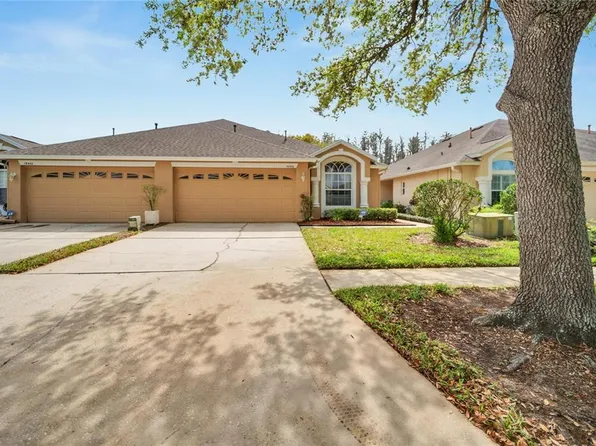 19356 HASKELL PLACE, LAND O LAKES, FL 34638