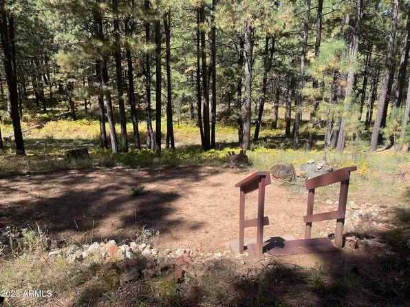 2215 JOE SPRINGS Drive #505, Forest Lakes, AZ 85931