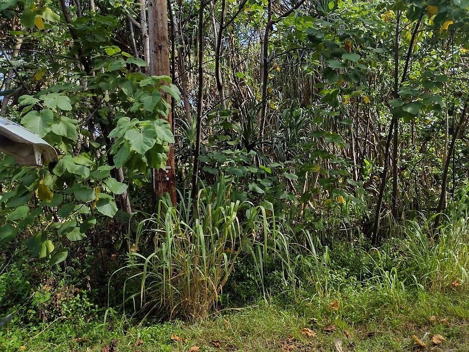 1st image of Koaekea St Lot 163