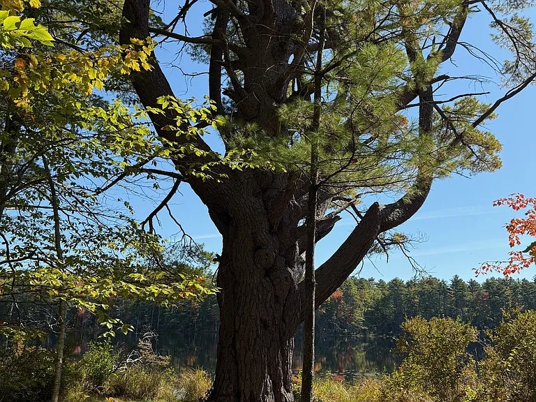 Anglers Point — Photo 36