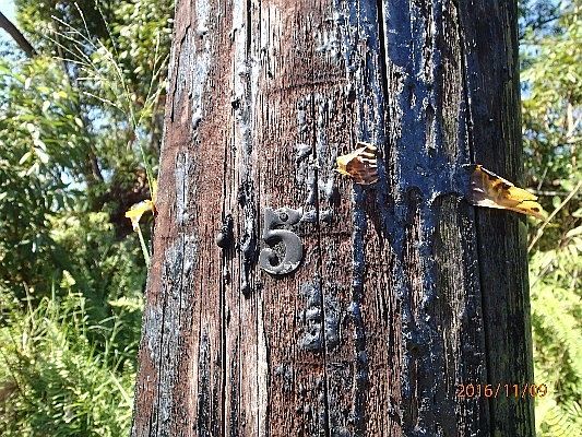 5th image of 18-1824 Hui St Lot 56