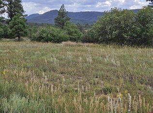 250 Prospect Blvd, Pagosa Springs, CO 81147