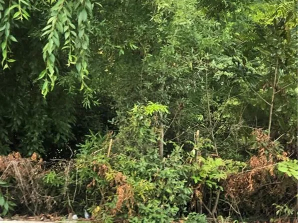 1757 Argonne Blvd, Winston Salem, NC 27107