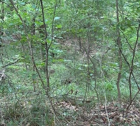 5th image of Leatherwood Rd