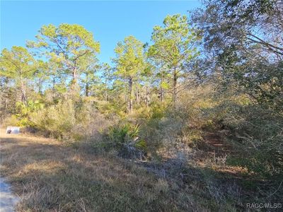 12639 W Checkerberry Dr, Crystal River, FL, 34428