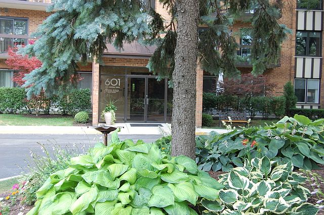 1st image of 601 Lake Hinsdale Dr APT 206