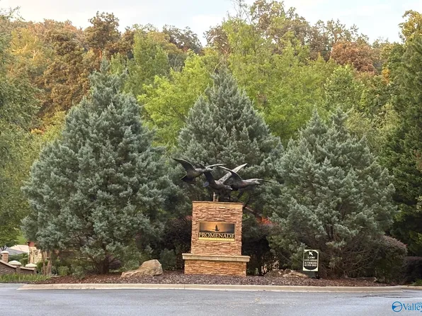 1930 Lookout Mountain Dr, Scottsboro, AL 35769