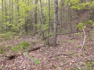 00 Rough Creek Rd, Waynesville, NC 28785