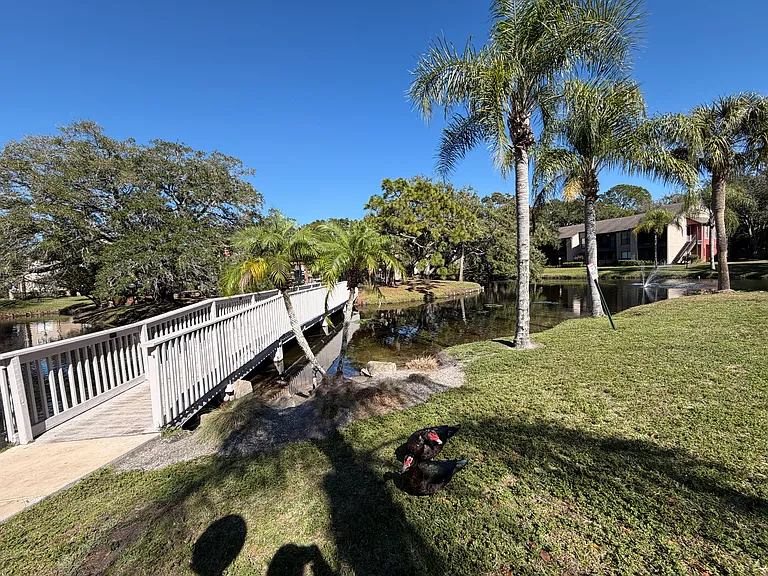 Baywater Apartments — Photo 20