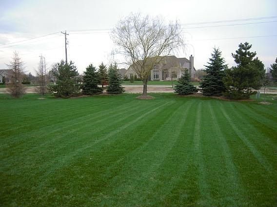 3rd image of 903 Woods Dr