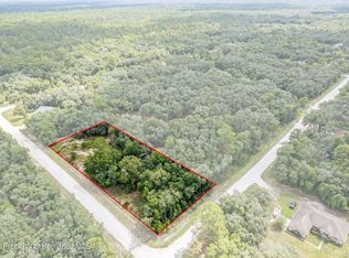 9188 Split Stone Dr, Webster, FL 33597