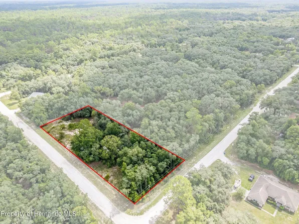 9188 Split Stone Dr, Webster, FL 33597
