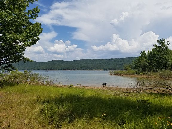 Mud's cove. Loves to fetch!