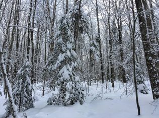 27 Coffin Mills Rd, Oswegatchie, NY 13670