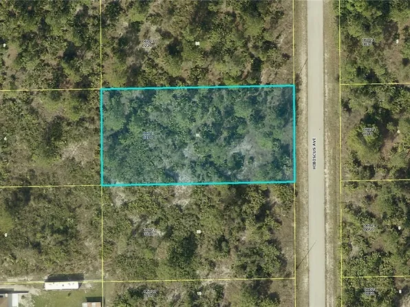 917 Hibiscus Ave, Lehigh Acres, FL 33972