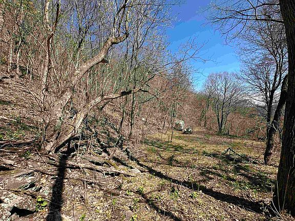 5th image of Mountain Lake Rd