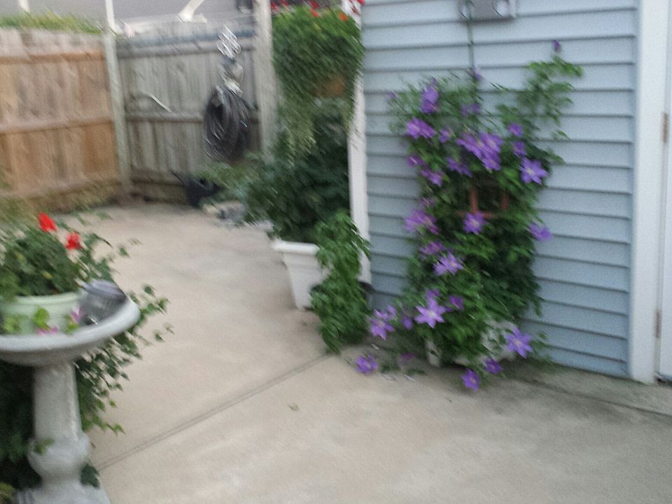 2nd image of 867 Stapleton Ave