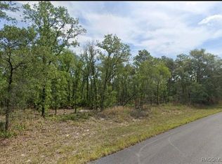 1625 W Swanson Dr, Citrus Springs, FL 34434