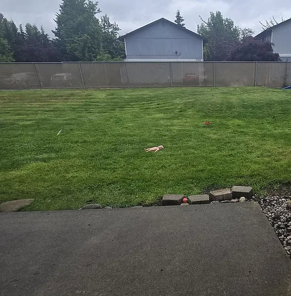 7105 142nd Ave E — Photo 14