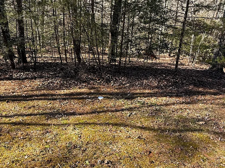 Peaceful Stream Trl — Photo 8