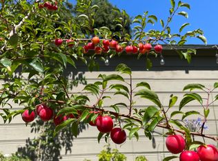 1935 Marin Ave, Berkeley, CA 94707