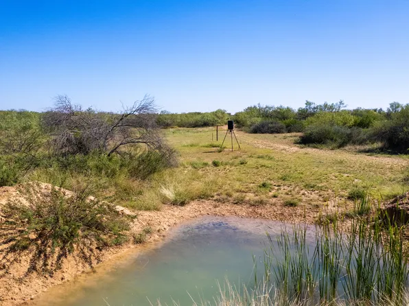 1150 CR 4715, Dilley, TX 78017