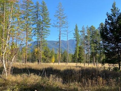 Nhn Larch Ridge Trl, Columbia Falls, MT, 59912