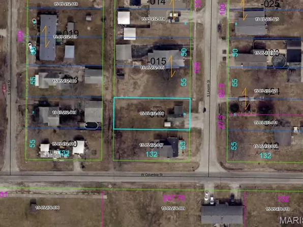 347 S Lincoln St, Litchfield, IL 62056