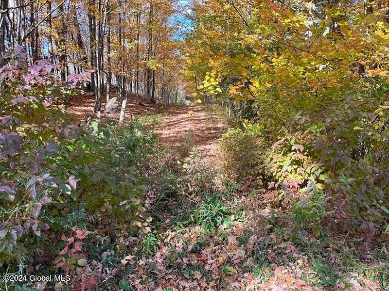 3rd image of L30.2 Goewey Road