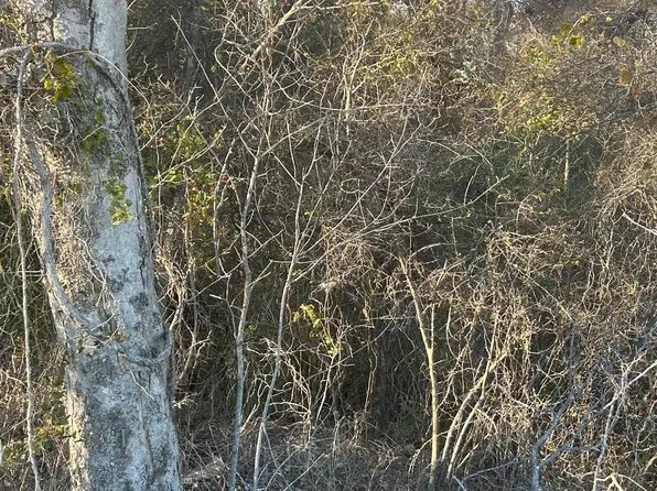 E County Road 2104, Kilgore, TX 75662