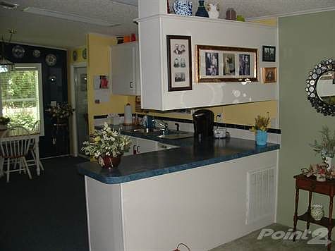 BONUS CABINETS AND COUNTER TOP