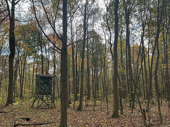 5th image of 572 Nealman Rd