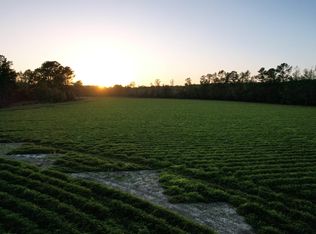 Old Georgetown Rd, Hemingway, SC 29554