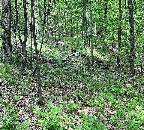 5th image of 4740 Pinckney Rd