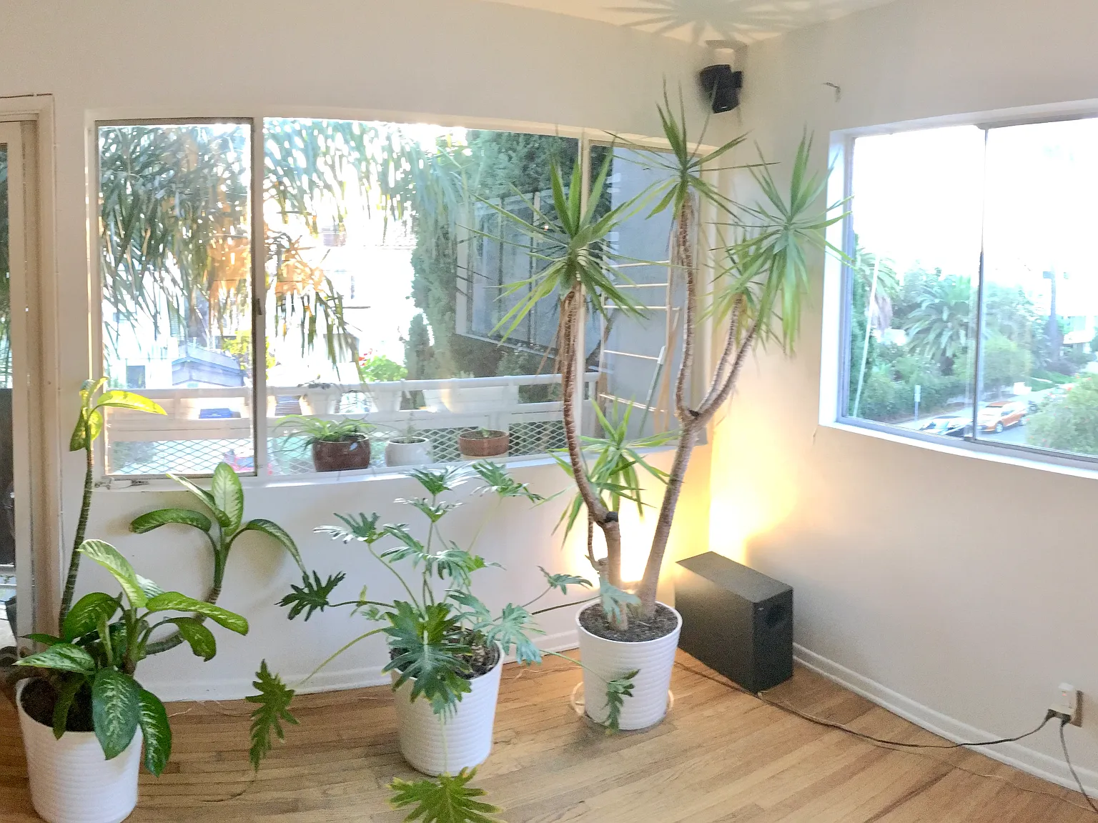 329 California Ave — Photo 2