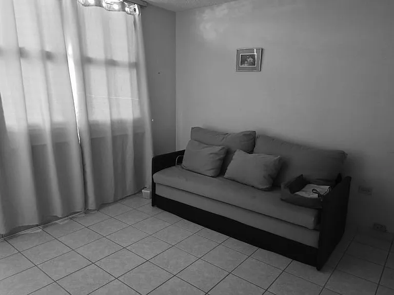 Cond El Aranjuez 121 Fd Roosevelt Ave — Photo 4